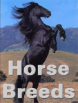Horse Breeds screenshot 1/2