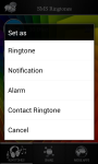 SMS Ringtones 2014 Top screenshot 4/5