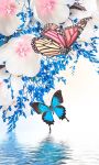 Butterfly Wallpaper HD for Android screenshot 1/6