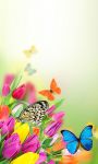 Butterfly Wallpaper HD for Android screenshot 2/6