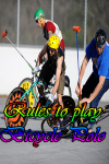 Rules to play Bicycle Polo  screenshot 1/4