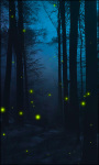 Fireflies Live Wallpaper Firefiles screenshot 4/6