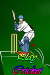 The Cricket Play screenshot 1/5
