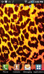 Leopard Print LWP screenshot 2/2