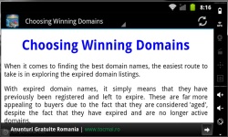 Domain Name Profits screenshot 2/3