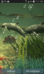 Dolphins Under The Sea Live Wallpaper screenshot 1/3