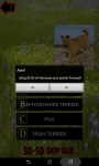 Which is The Dog Breed screenshot 4/6