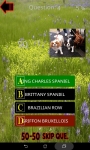 Which is The Dog Breed screenshot 5/6