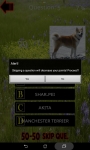 Which is The Dog Breed screenshot 6/6