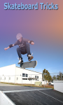 Skateboard Tricks screenshot 1/1