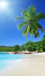 Amazing Tropical Islands ever Wallpaper screenshot 5/6