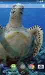 Sea Turtle Live  screenshot 1/3