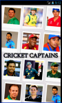 Best Cricket Captain screenshot 1/3
