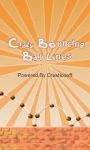 Crazy Bouncing Balls Line Game screenshot 1/6
