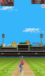 India Vs West Indies 2013 Free screenshot 4/6