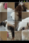 Funny Puppy Puzzle screenshot 2/6