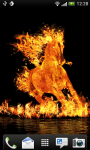 Fire Horse 3D wallpaper HD screenshot 1/3