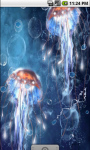 Jellyfish Underwater Live Wallpaper screenshot 1/4