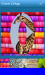 Alphabet Collages  screenshot 1/6
