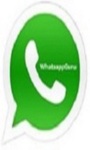 WhatsApp for Java Free screenshot 1/1