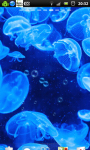 Underwater Bubble Jellyfish Live Wallpaper screenshot 3/6