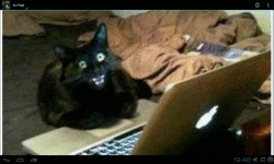 Inky and Ivy the House Cats screenshot 3/6