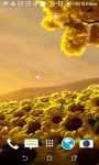 Beatiful Sunflowers Wallpapers screenshot 1/4