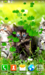 Kittens Live Wallpapers Free screenshot 3/6