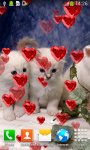Kittens Live Wallpapers Free screenshot 4/6
