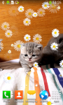 Kittens Live Wallpapers Free screenshot 5/6