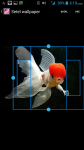 Koi Fish HD Wallpaper screenshot 3/4