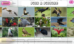 Puzzles of Birds Free screenshot 4/6