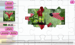 Puzzles of Birds Free screenshot 6/6