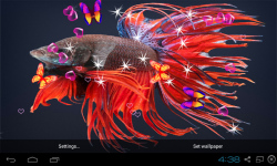 Betta Fish Live Wallpaper screenshot 2/4