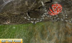 Spider Family Nest Simulator 3D screenshot 2/4