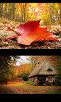Wonderful autumn landscapes screenshot 1/4