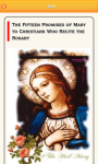 How To Pray Rosary screenshot 1/1