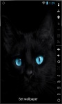 Blue Eyes Cat Live Wallpaper screenshot 2/2