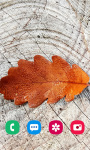 Autumn Wallpapers HD Backgrounds screenshot 2/6