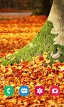 Autumn Wallpapers HD Backgrounds screenshot 3/6