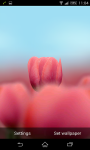 Tulip 3D Live Wallpaper screenshot 2/4