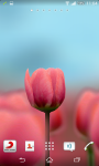 Tulip 3D Live Wallpaper screenshot 4/4