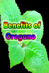 Benefits of Oregano screenshot 1/3
