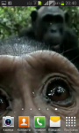Monkey found your phone screenshot 5/5