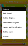Top SMS Ringtones and Sounds  screenshot 3/6