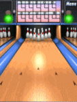 Bowling Master screenshot 1/1