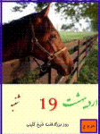 Horse Calendar screenshot 1/1