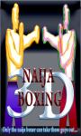 Naija Boxing 3D_ screenshot 1/3
