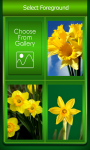 Zipper Lock Screen Daffodil screenshot 3/6