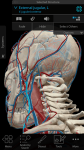 Human Anatomy Atlas 2018: Complete 3D Human Body screenshot 1/3